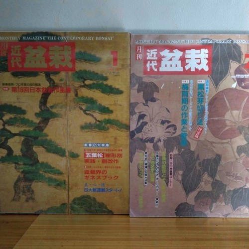 Modern bonsai magazine 1991 - modern,