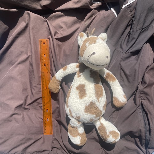 Jellycat london bashful - jellycat,