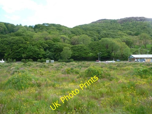 Photo 6x4 land waiting - 6x4,