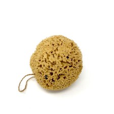 Medium Eco Bathroom Sponge -