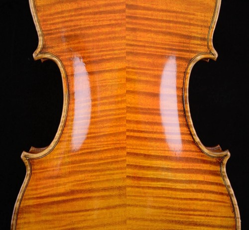 Rare violin guarneri del - violin,