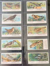 Ogdens, British Birds, Full