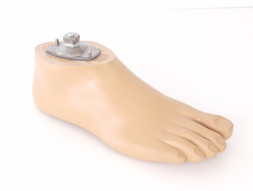 Ottobock 1wr95 aqua foot - ottobock,