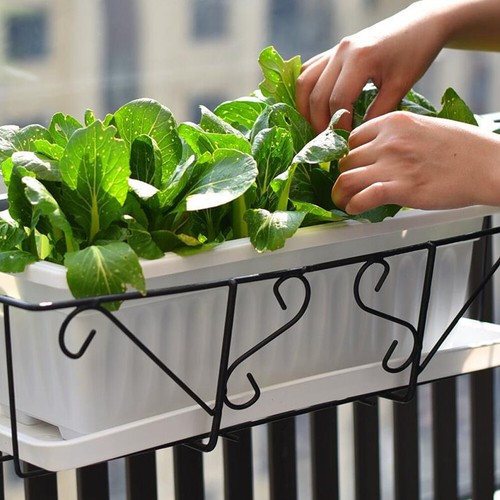 Long trough plant pot - 5x,