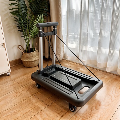 Collapsible hand luggage - luggage, cart