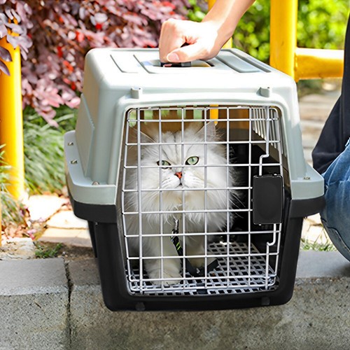 Portable dog cat - portable,