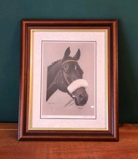 Mill Reef Equine Portrait
