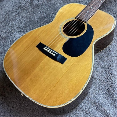 Morris vintage acoustic - f-15,