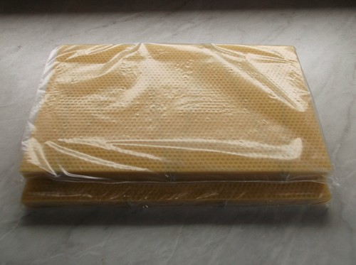100 national bee hive brood - 100,