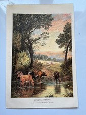 Summer Evening Birket Foster