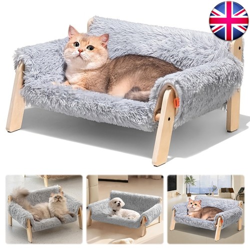 Cat lounging bed - lounging,