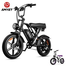 AMYET Electric Bike for Adults