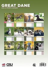 Great Dane Dog 2026 A3 Calendar