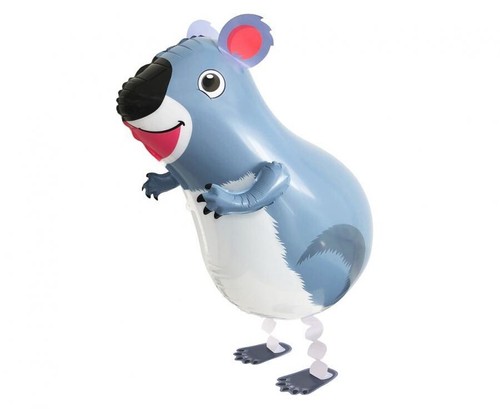 Koala bear animal - koala,