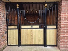 Professional Internal Horse