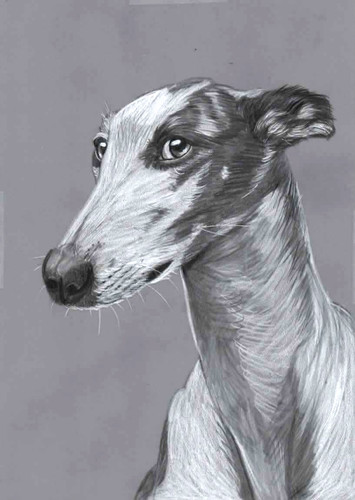 Original pencil drawing - original,