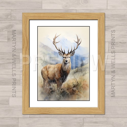 Highland stag watercolour - stag,