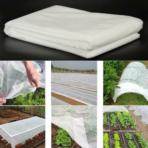 Garden plant fleece frost - 2m,