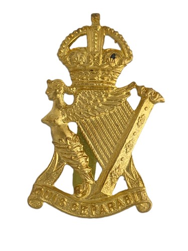 British army royal irish - army,