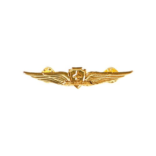Pilot pin airman uniform - pilot,