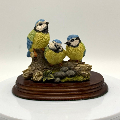 Leonardo collection nature - collection,