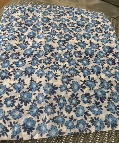 Beautiful large blue daisy - beautiful,