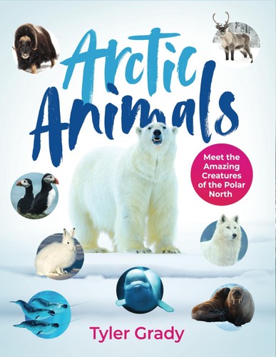 Arctic animals - arctic,