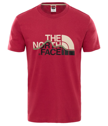 The north face shirt - face, t-shirt