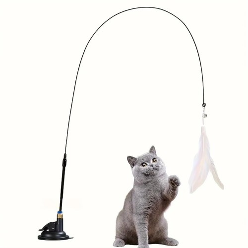 Cat kitten toy - kitten, feather