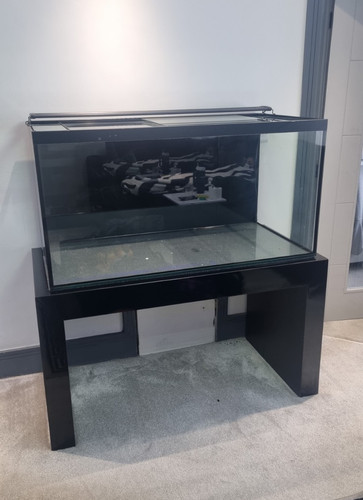 Glass rectangular fish - glass,