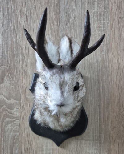 Animal wall sculpture - animal,