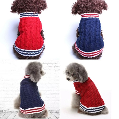 Cute dog puppy pet cat - cute,