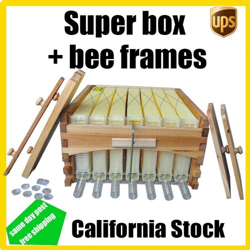 Auto shed bee hives super - bee,