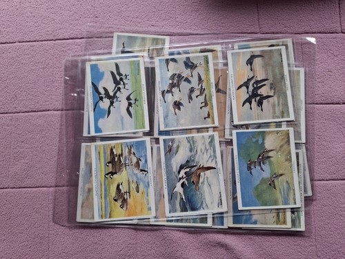 Complete set john players - complete,