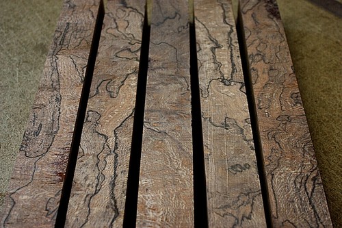 Spalted burr lacewood - burr, london