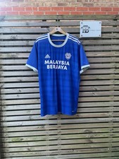 Cardiff City Home Football