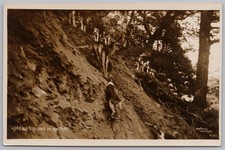 Devon & Somerset Staghounds 'Holding His Own in Horner' RP Postcard by Vowles