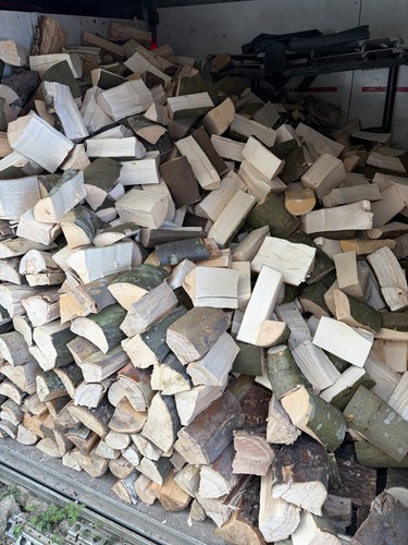 Firewood logs hardwood - logs,