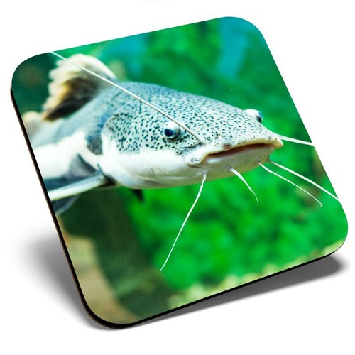 Square single coaster cool - single,