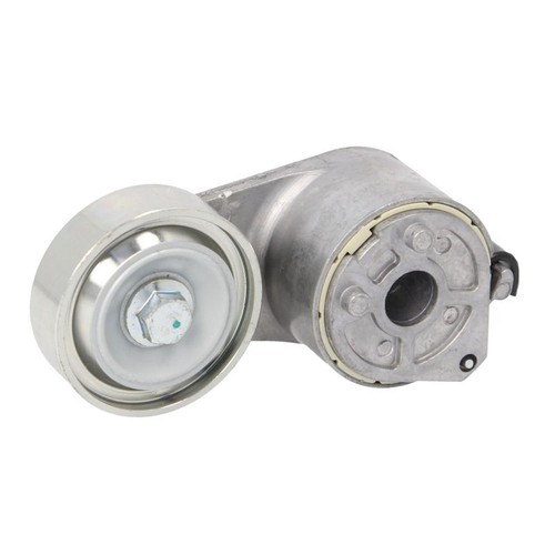 Belt tensioner ribbed - v-ribbed,