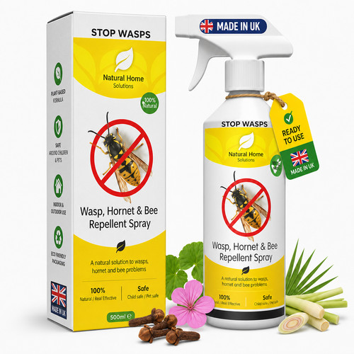 Wasp bee hornet natural - bee,