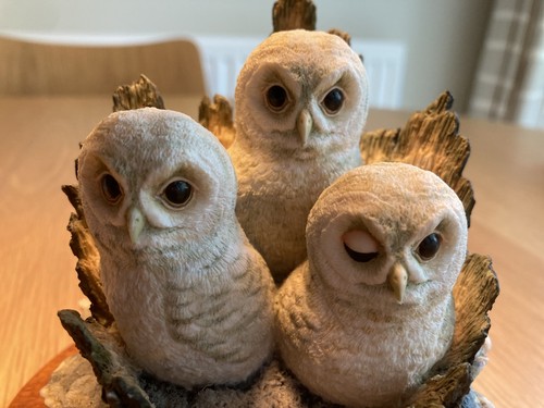 Border fine arts - fine, owlets