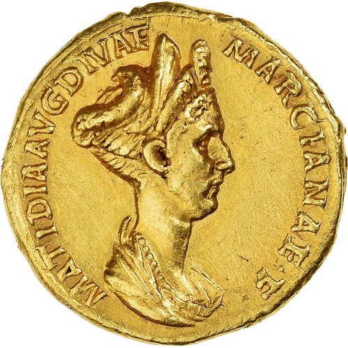 1021160 matidia aureus - [#1021160],