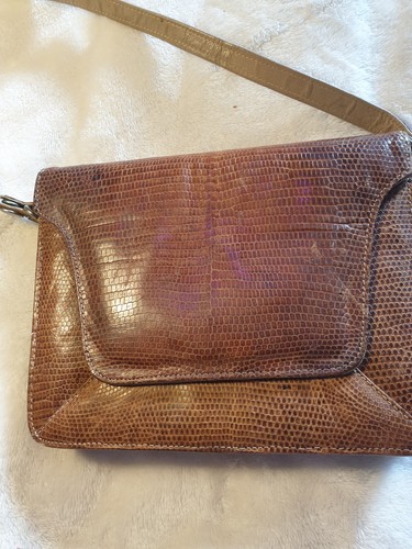 Vintage snake skin - snake,