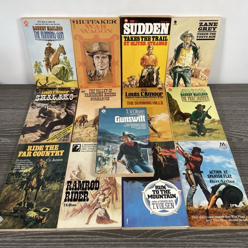 Vintage westerns book - x,