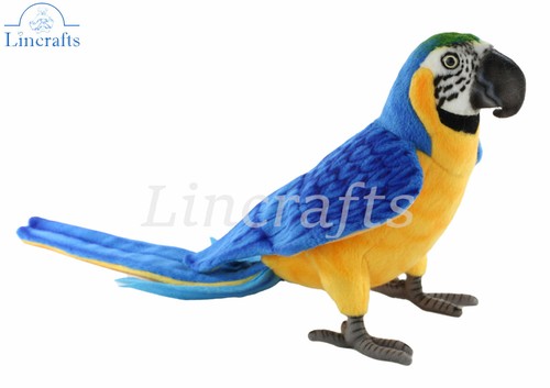 Hansa blue macaw - macaw, plush