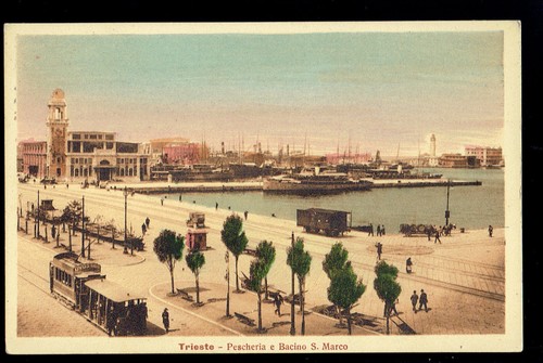 Trieste fishery and - trieste., s