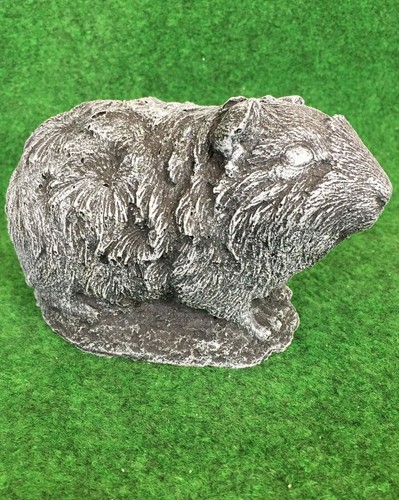 Concrete furry guinea - guinea, pig