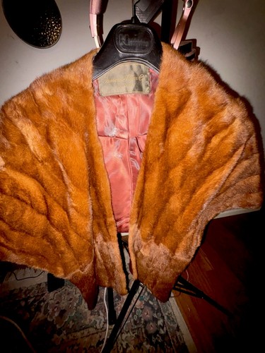 1950 vintage foxy red fox - vintage,