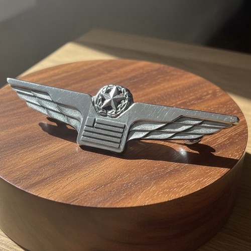 Vintage usair pilot - pilot, captain